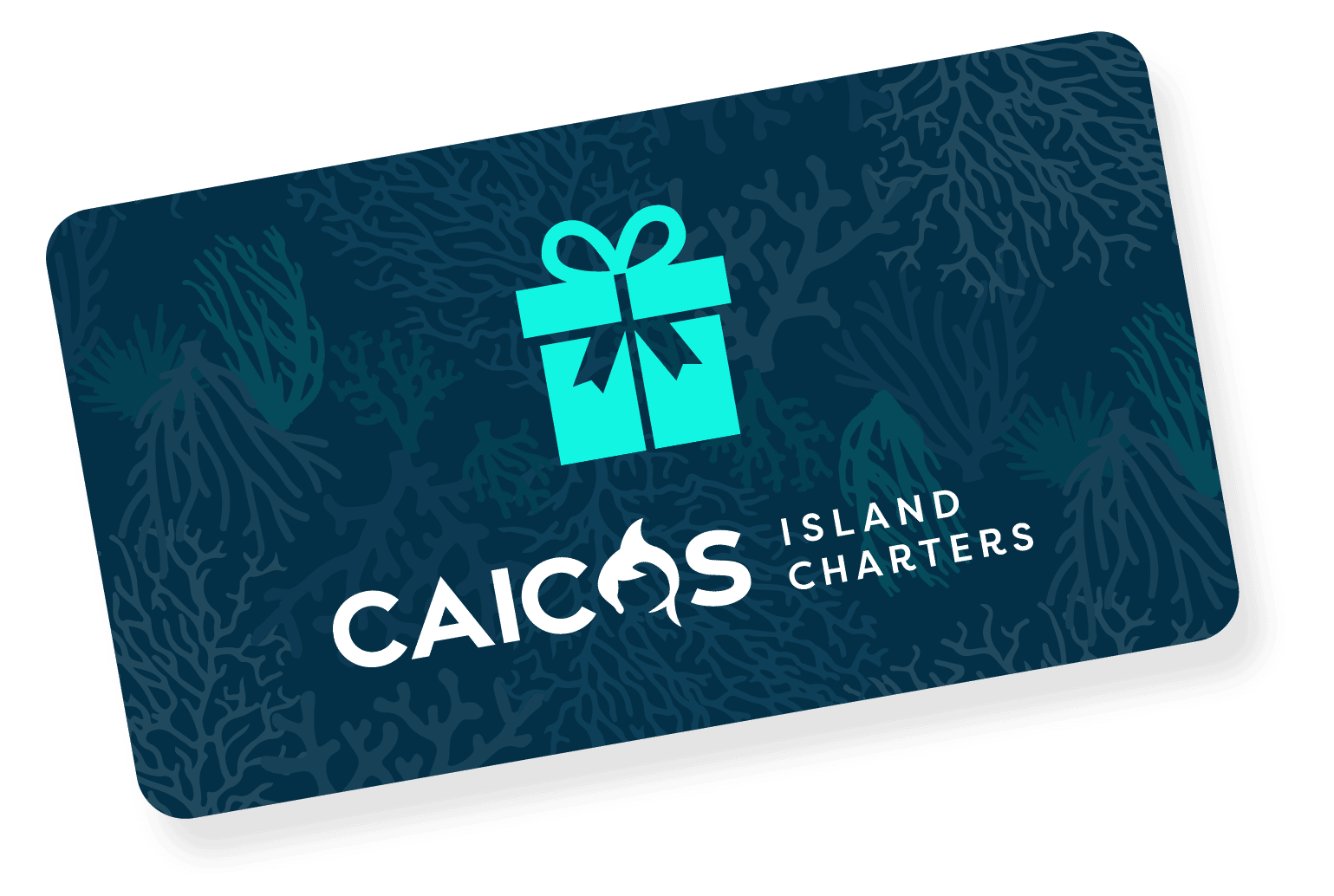 turks and caicos boat tours